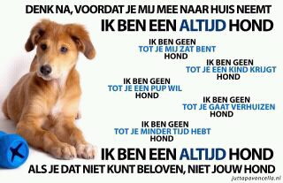 Copyright: wie vertelt mij dit?